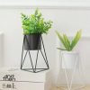 Máy hút mụn đầu đen cao cấp Amida D250